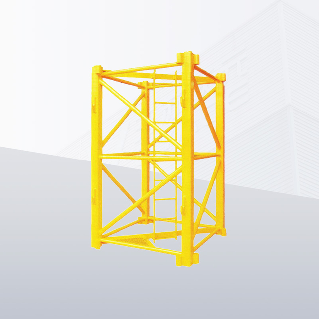 Section standard universelle de grue à tour